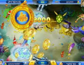 娱乐星空下载app2024最新版